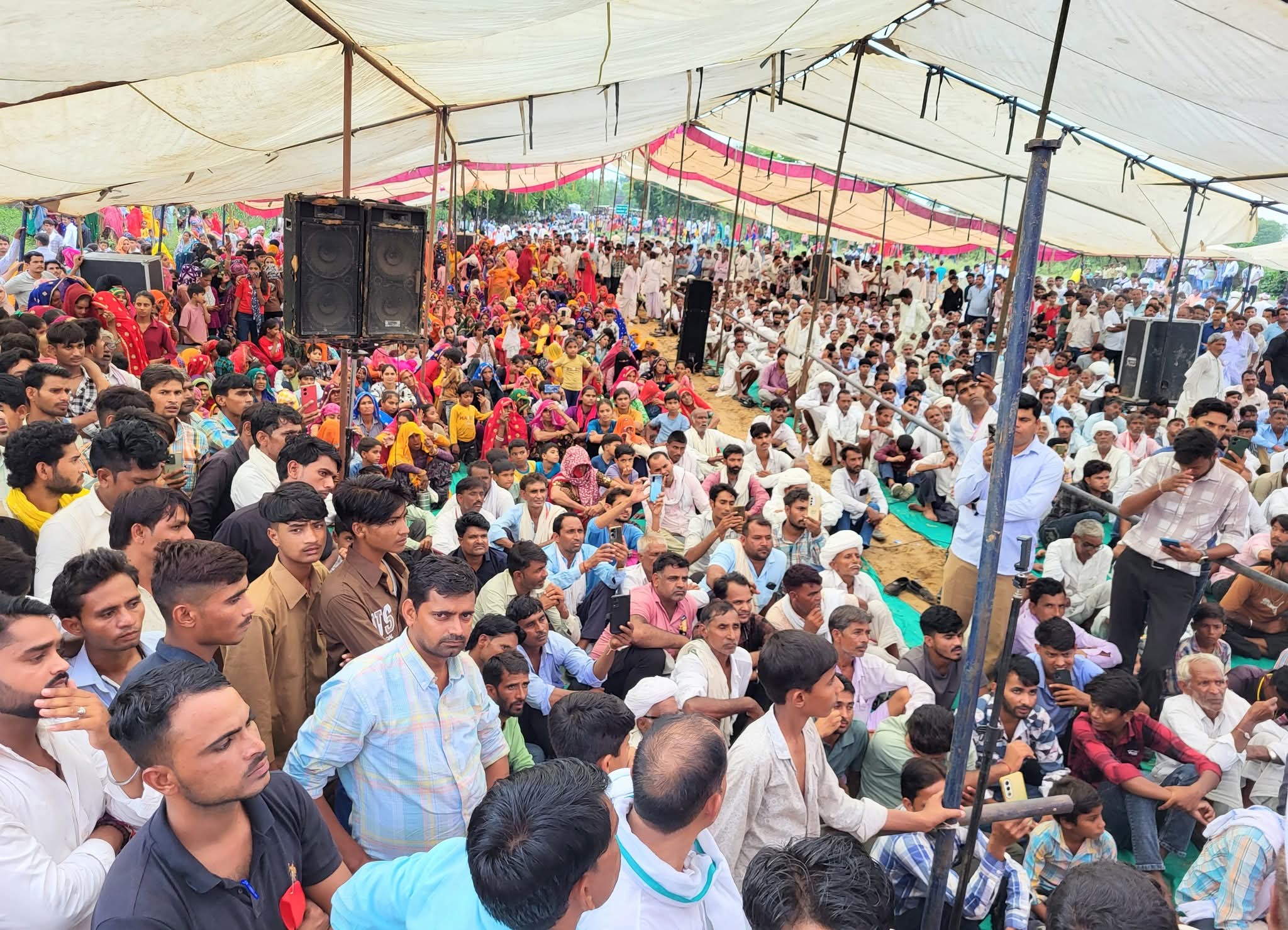 तेजा दशमी पर क्षेत्र में धूमधाम, हजारों श्रद्धालुओं ने टेका मत्था